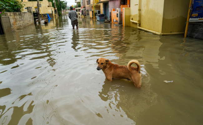 BJP flays ruling Cong for celebrating 2 years in office as Bengaluru battles floods